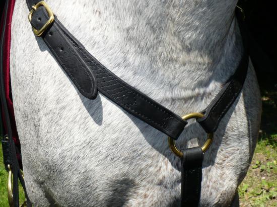 Collier de chasse