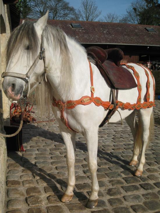 Avaloir (Kaltenberger, Allemagne)