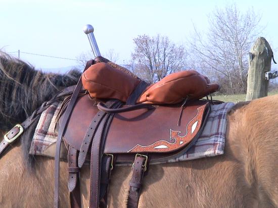 Selle de voltige