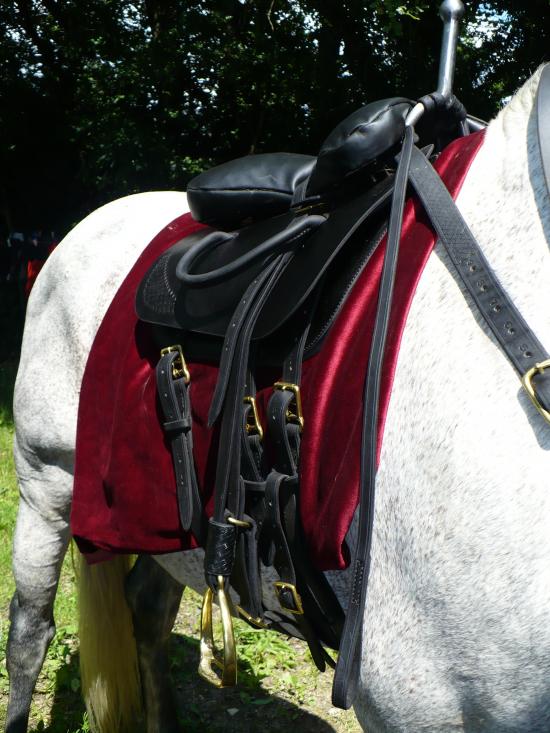 Selle de voltige
