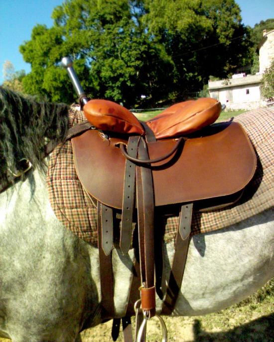 Selle de voltige