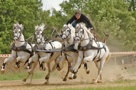Spectacle Ben-Hur (Stade de France)